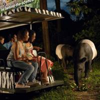 野生动物导览之旅